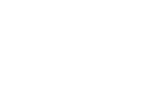Virtual Developer Logo - Weiß